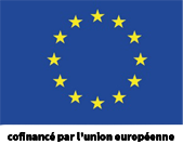 EU logo